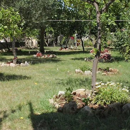Studio 3589k Sucuraj